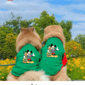 Green Mickey Mouse shirt