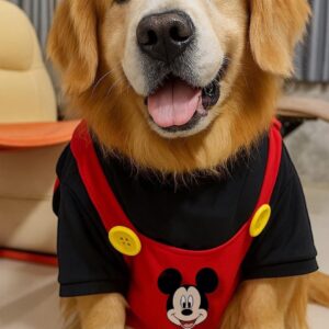 IMG_2797 shirt Mickey Mouse