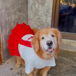 IMG_2800 shirt student