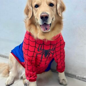 IMG_2805 shirt Spiderman