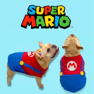 IMG_2819 shirt Mario