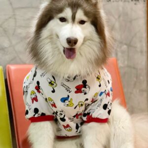 shirt disney