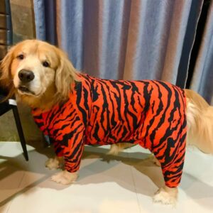 IMG_2832 shirt Tiger stripes