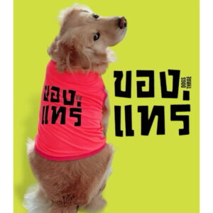 IMG_9305 shirt Minerals