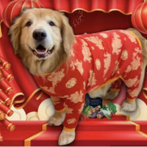 shirt Chinese New Year