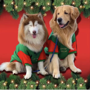 shirt Christmas Cotton